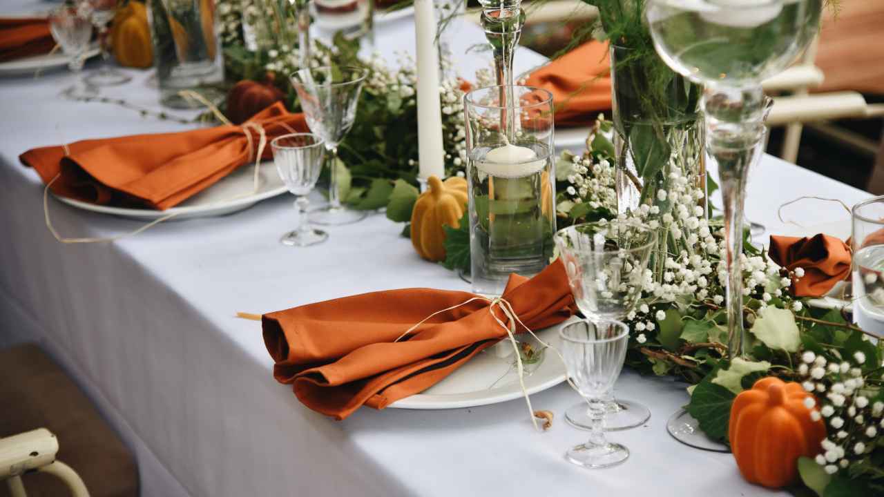 Фото: Jelena Ivkovic/Shutterstock.com
