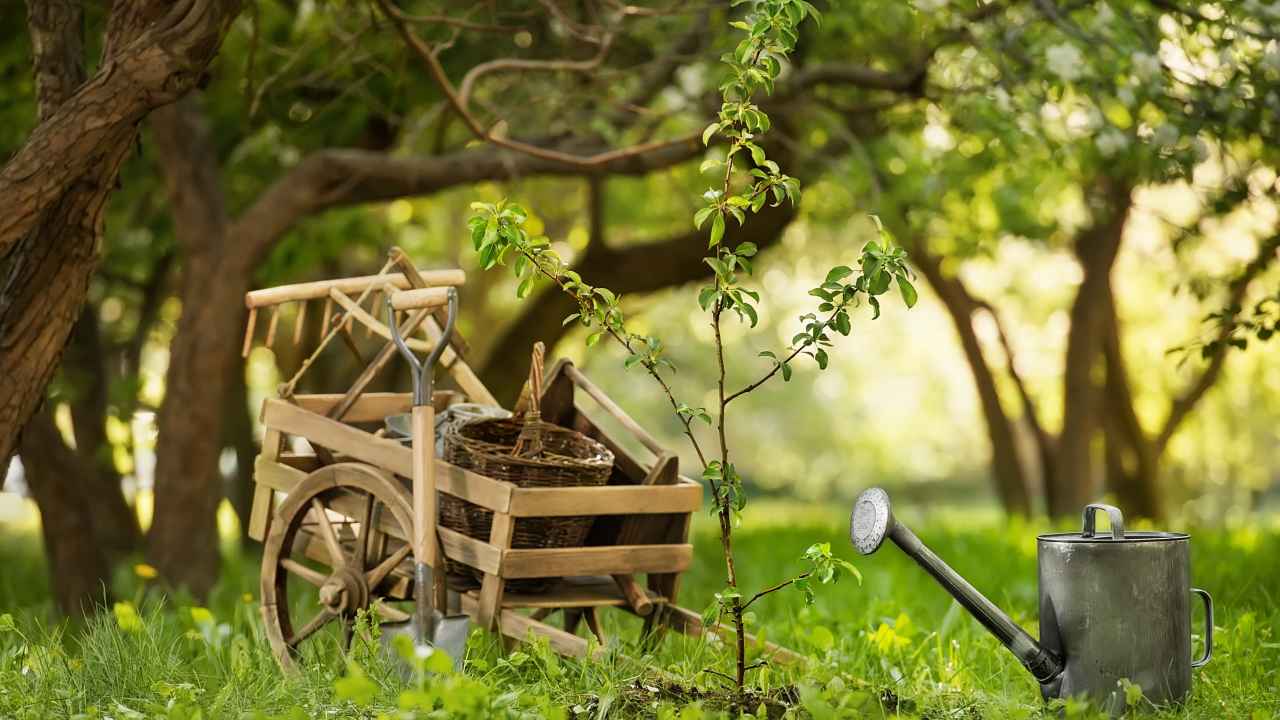 Фото: Vasilyev Alexandr/Shutterstock.com 