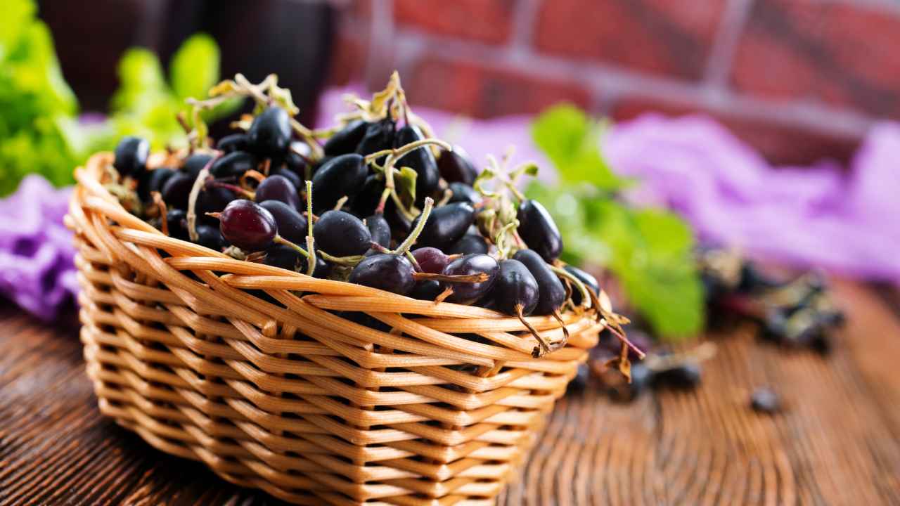 Фото: Gayvoronskaya_Yana/Shutterstock.com