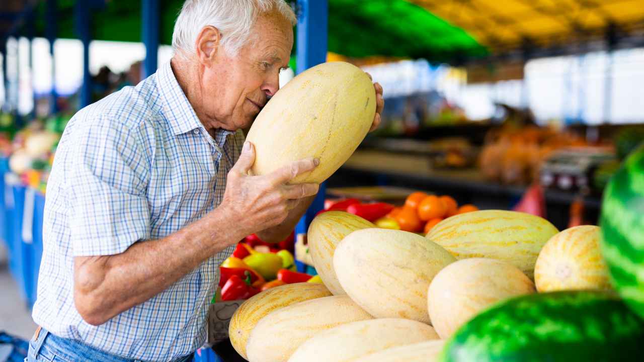 На что обратить внимание при выборе дыни