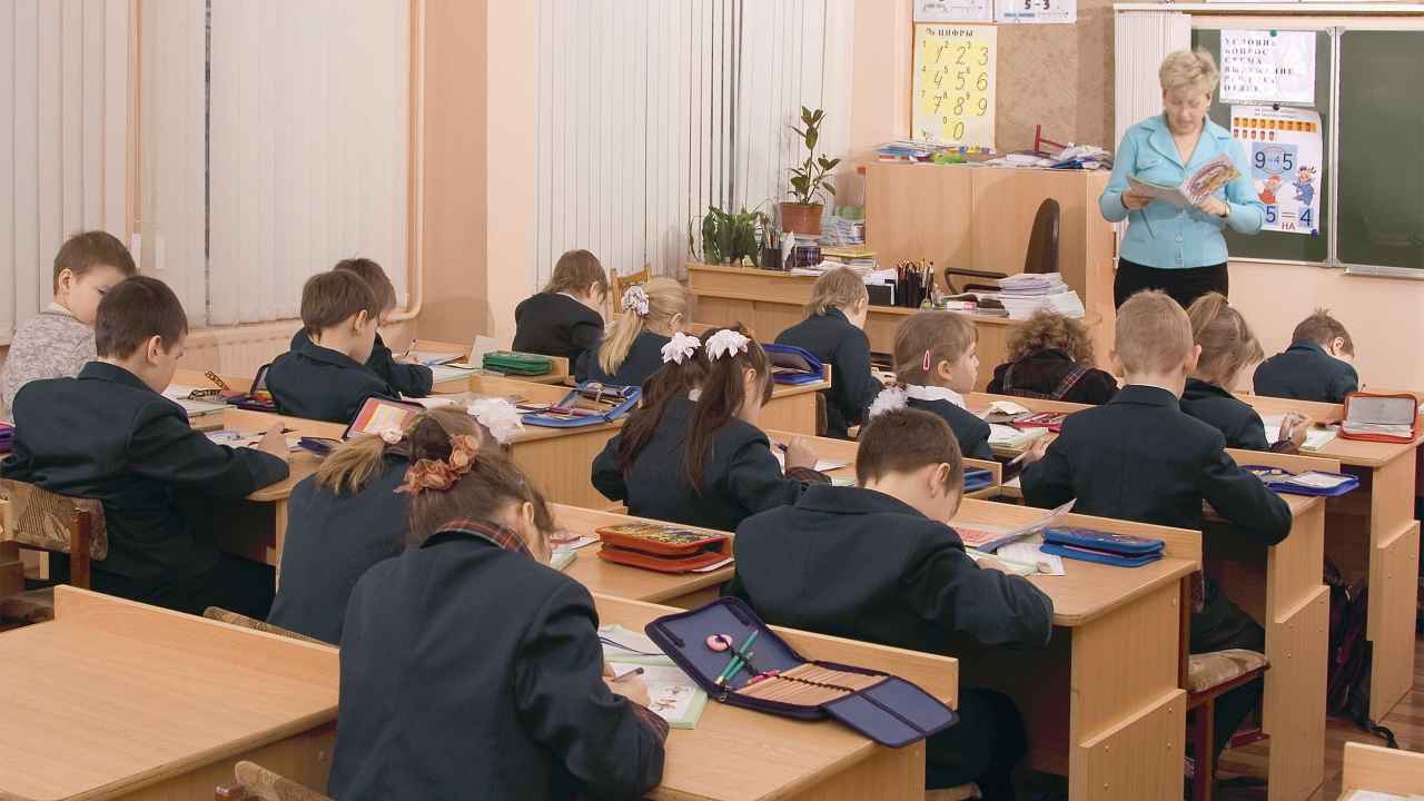 какой пенал мне выбрать