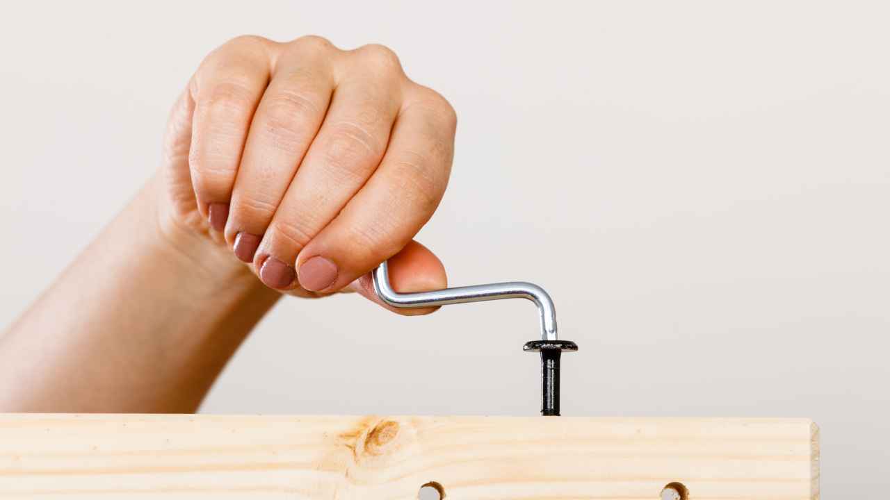 Фото: Voyagerix/Shutterstock.com