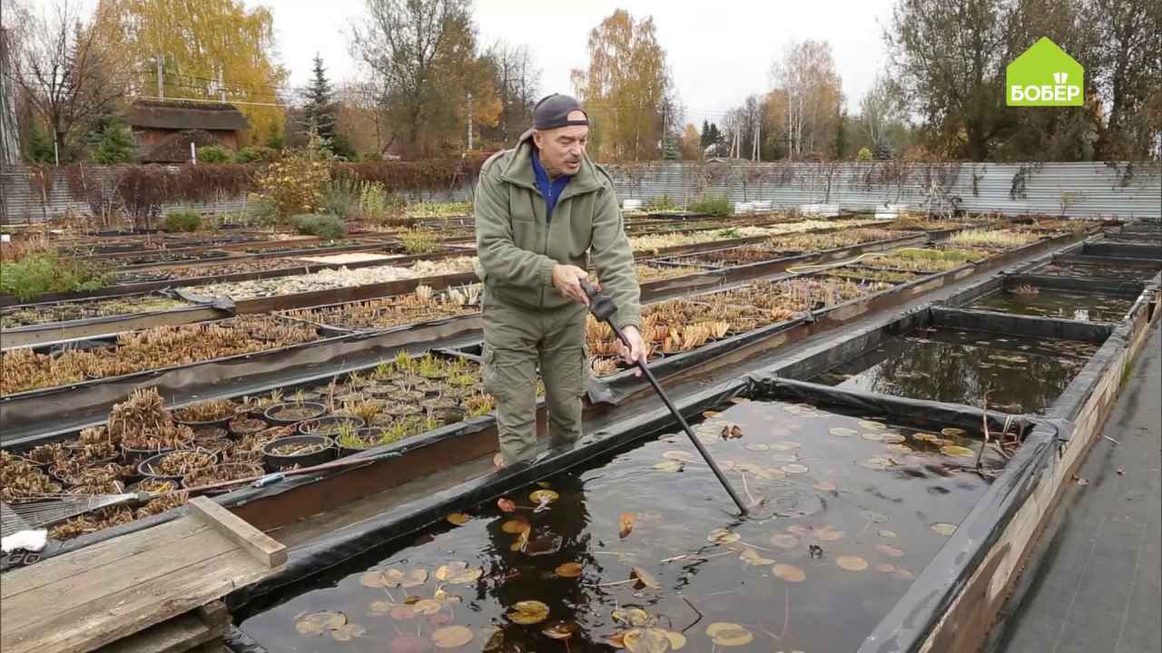 Как сохранить чистую воду в небольшом искусственном водоеме?