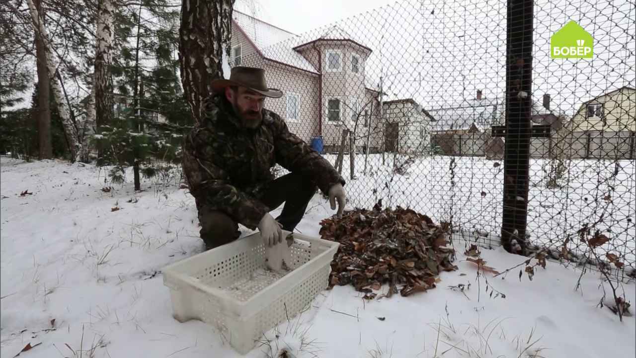 Получаем перегной