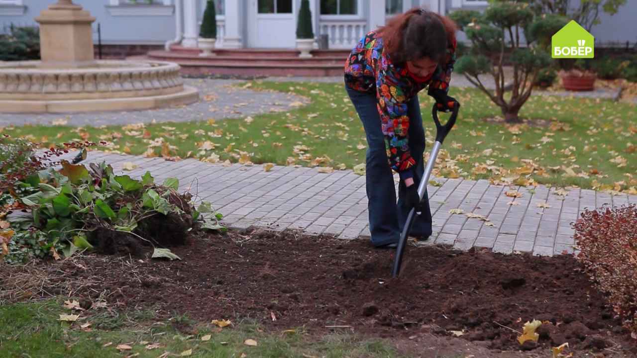 Пересаживаем делёнки на новое место