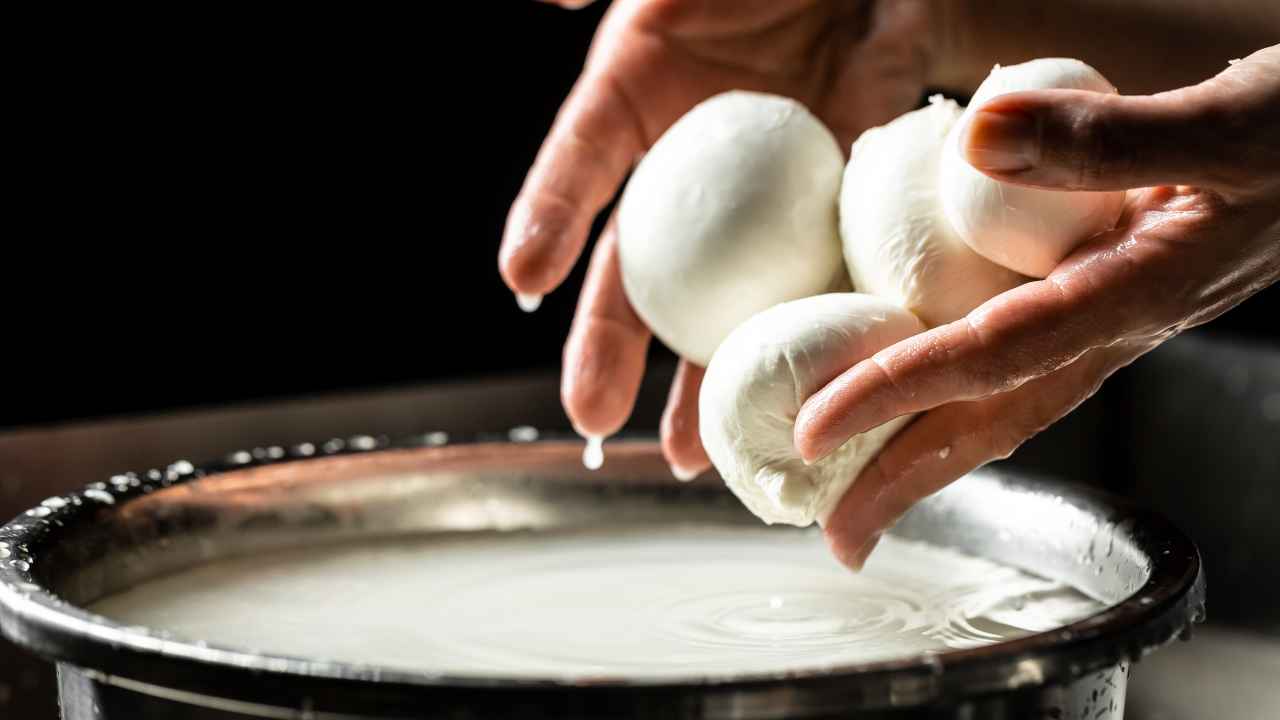 Фото: sweet marshmallow/Shutterstock.com