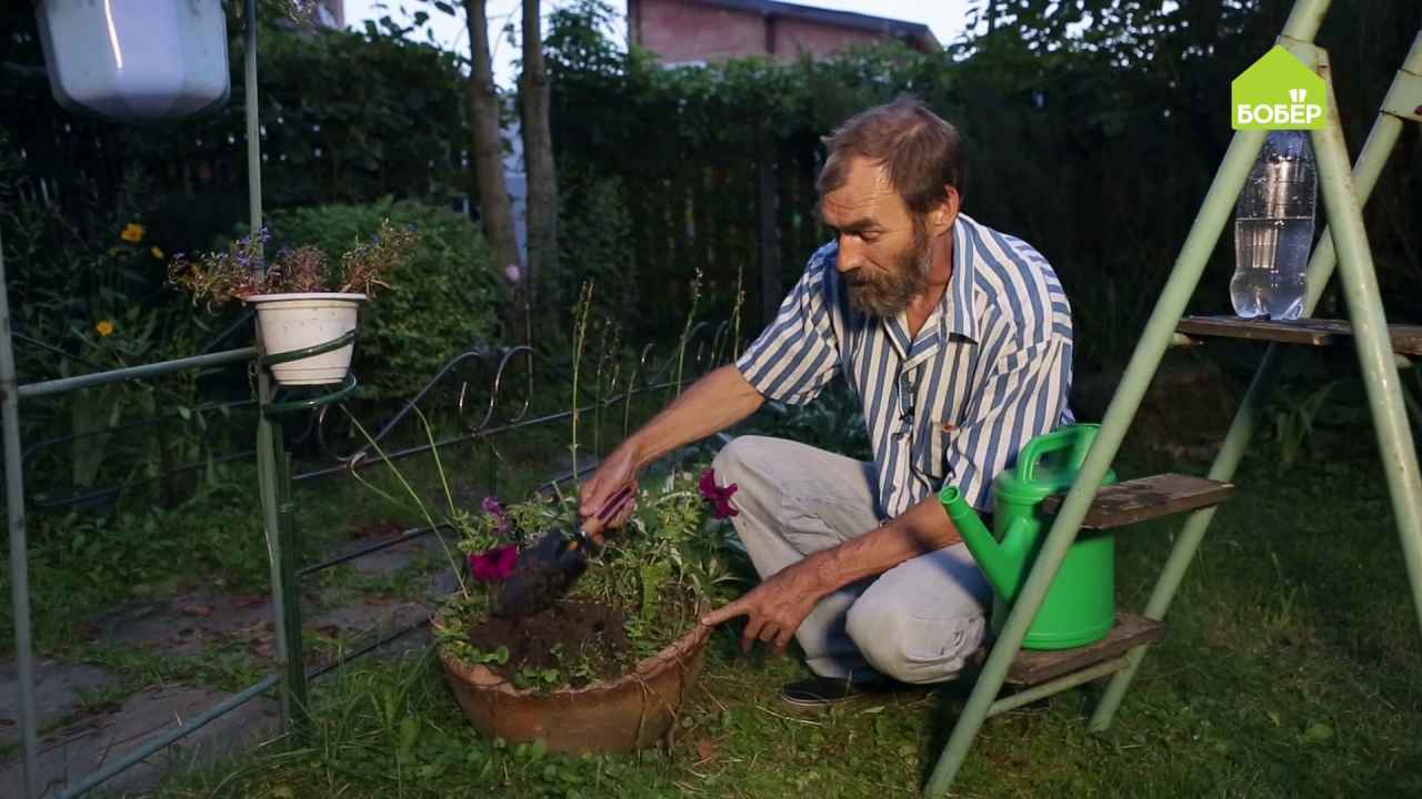 Система автополива растений из пластиковой бутылки - Бобёр.ру