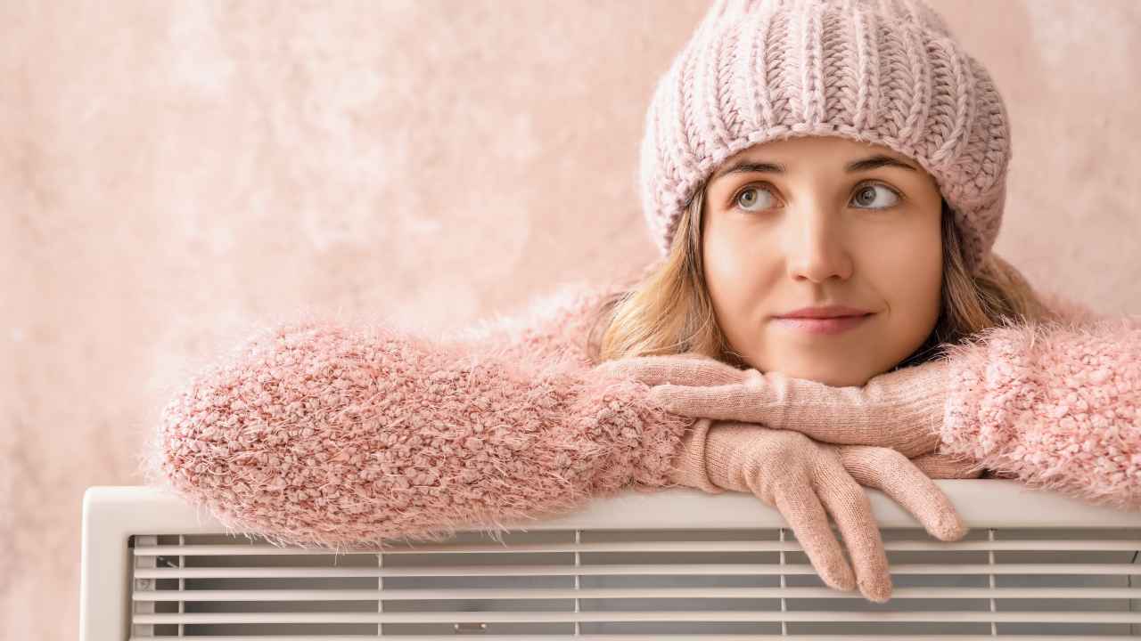 Фото: Pixel-Shot/Shutterstock.com