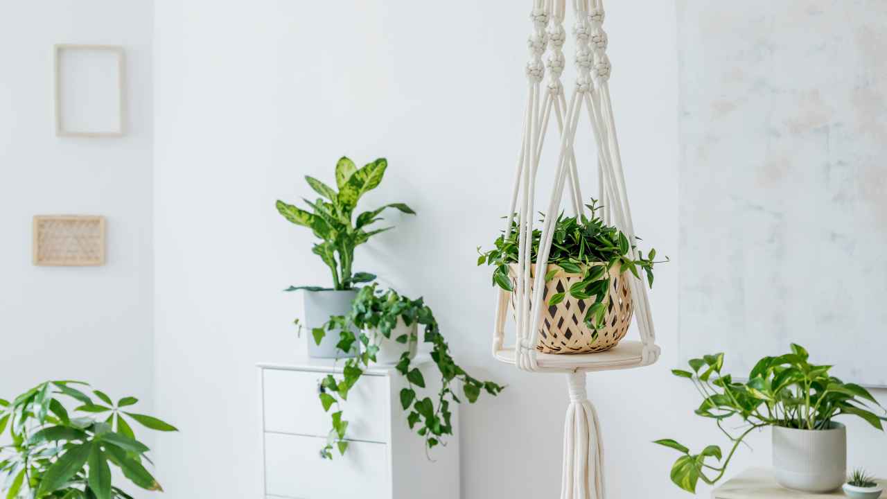 Фото: Followtheflow/Shutterstock.com