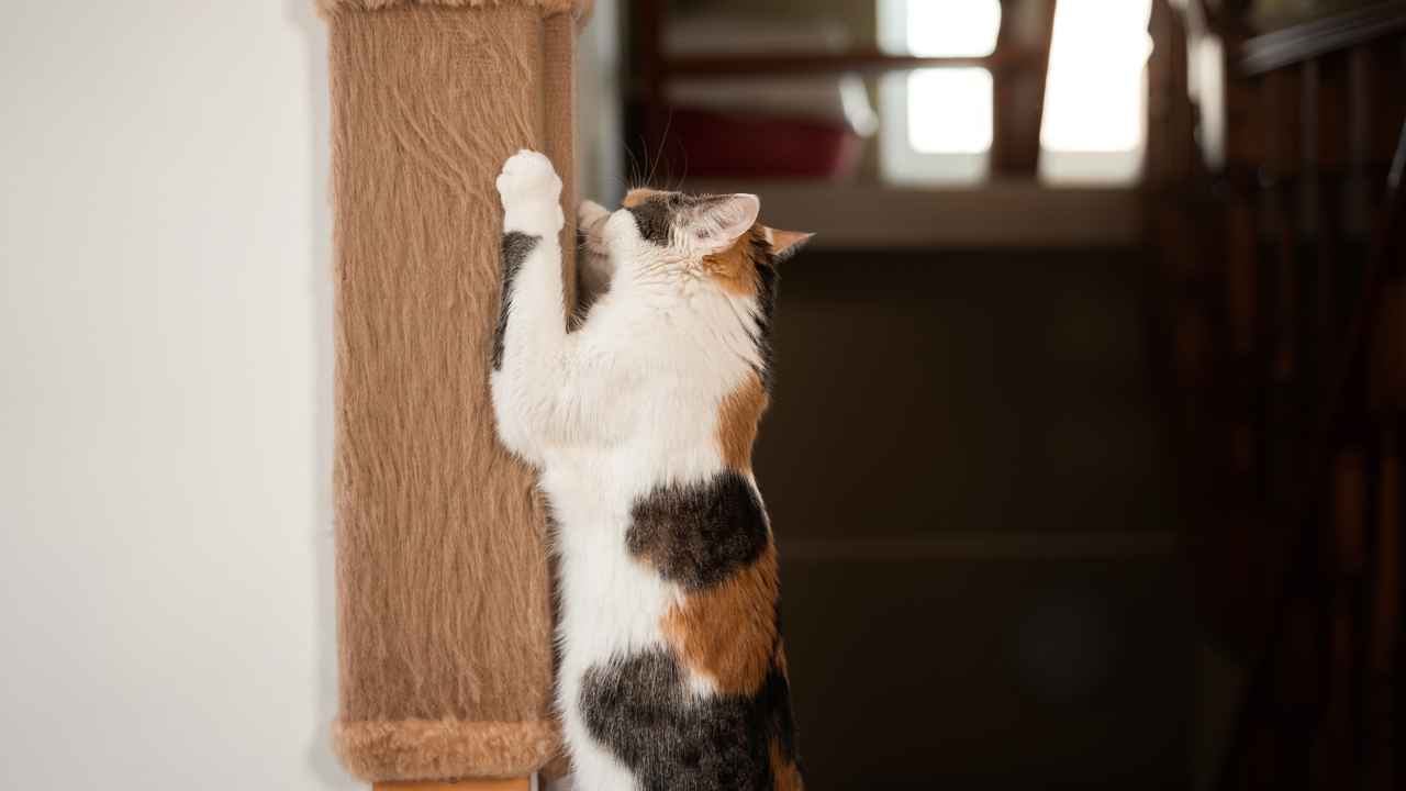 Фото: Evgenia Terekhova/Shutterstock.com