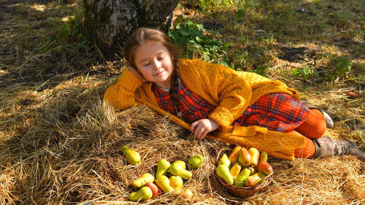 Как выбрать саженцы груши - Бобёр.ру