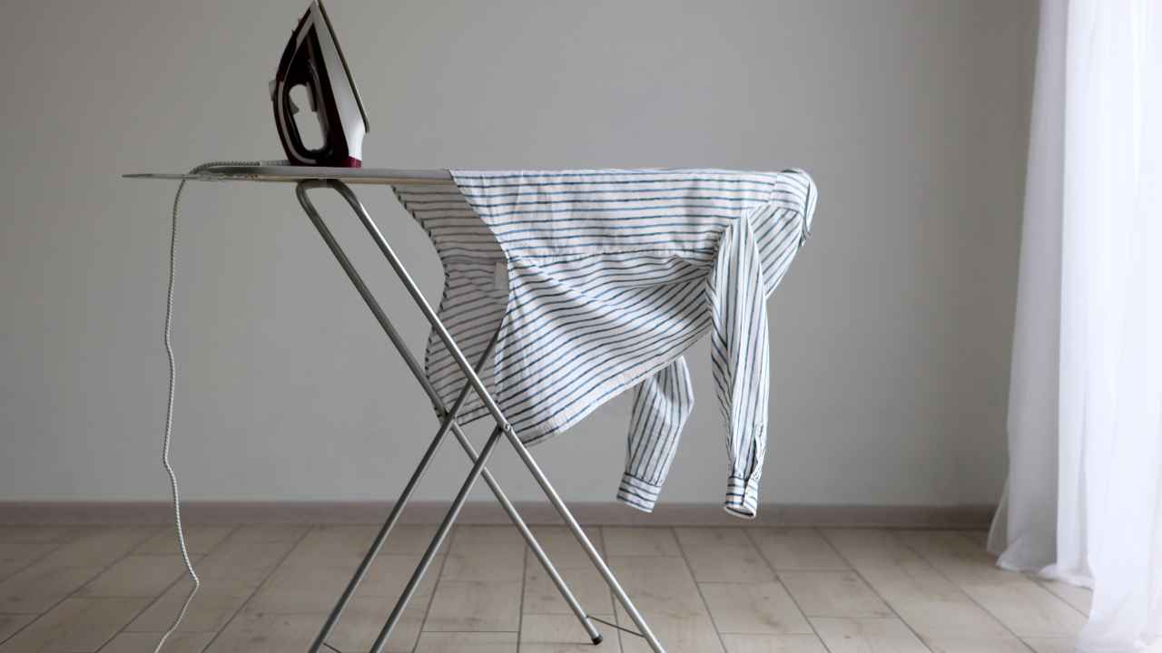 Фото: White bear studio/Shutterstock.com