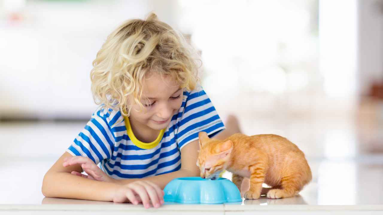 Фото: FamVeld/Shutterstock.com