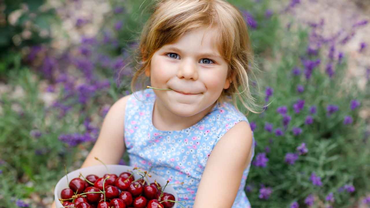 Фото: Irina WS / Shutterstock