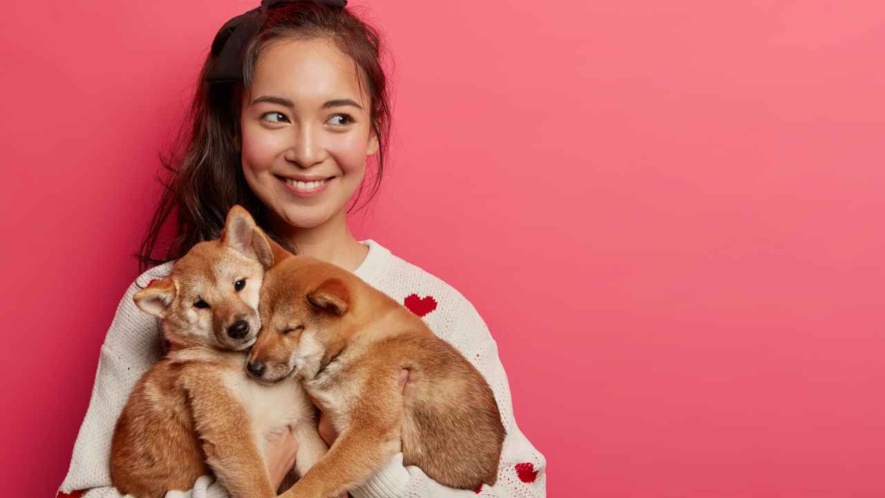 Фото: Cast Of Thousands/Shutterstock.com