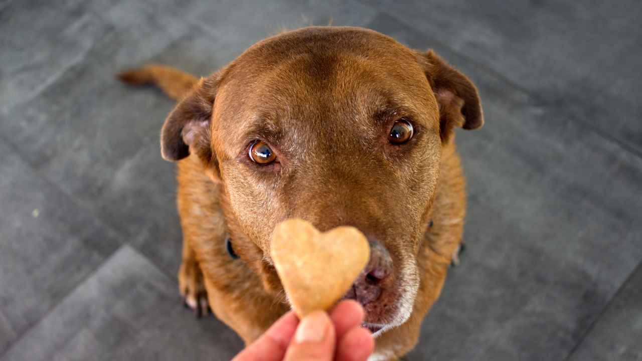 Фото: Maya Shustov/Shutterstock.com