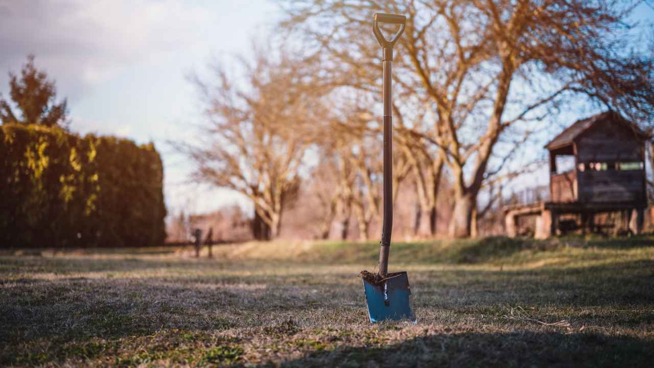 Фото: Peter Kniez/Shutterstock.com