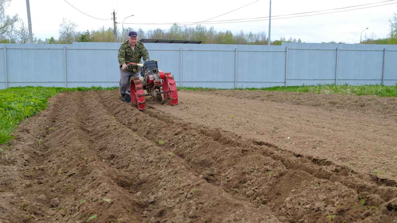 Как выбрать мотоблок - Бобёр.ру