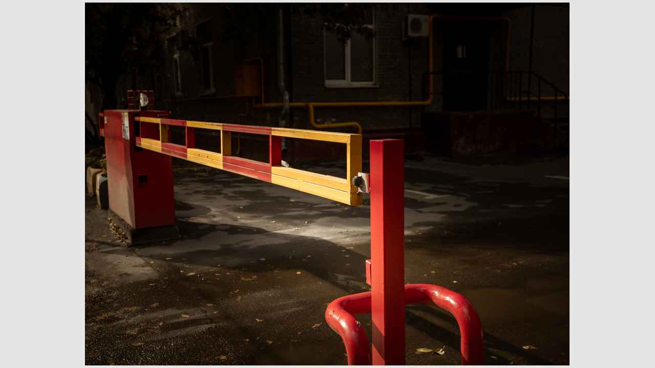 Фото: bonilook/Shutterstock.com 