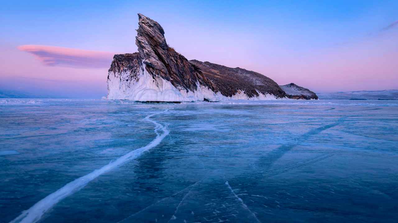 Фото: Piu_Piu/Shutterstock.com