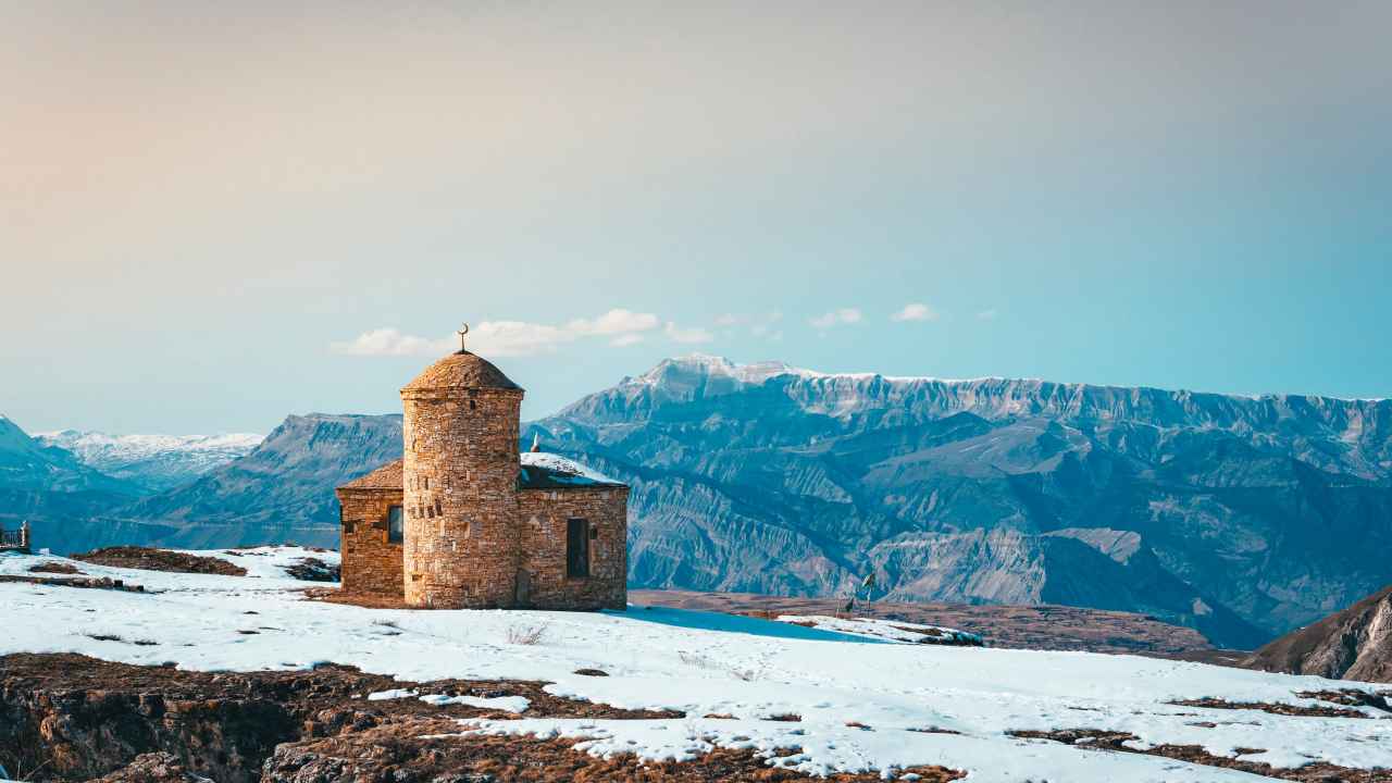 Фото: Piu_Piu/Shutterstock.com