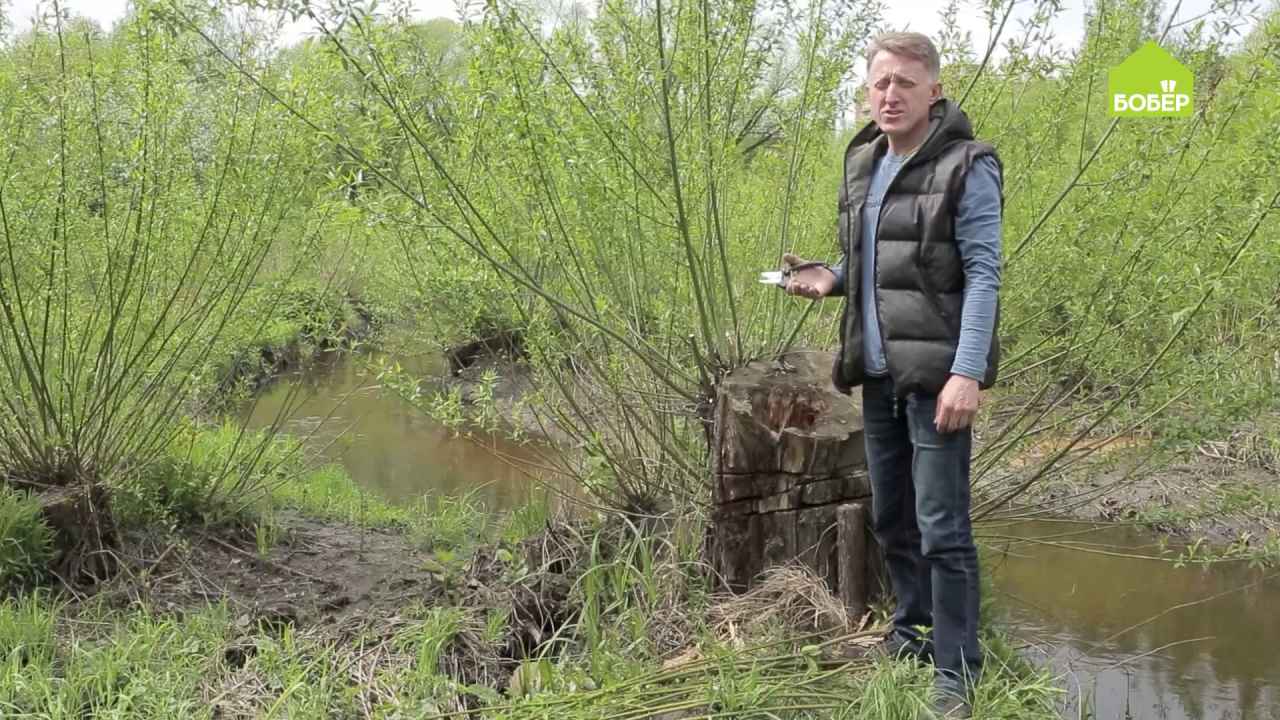 Основы техники плетения из лозы и секреты древнего увлечения для новичков