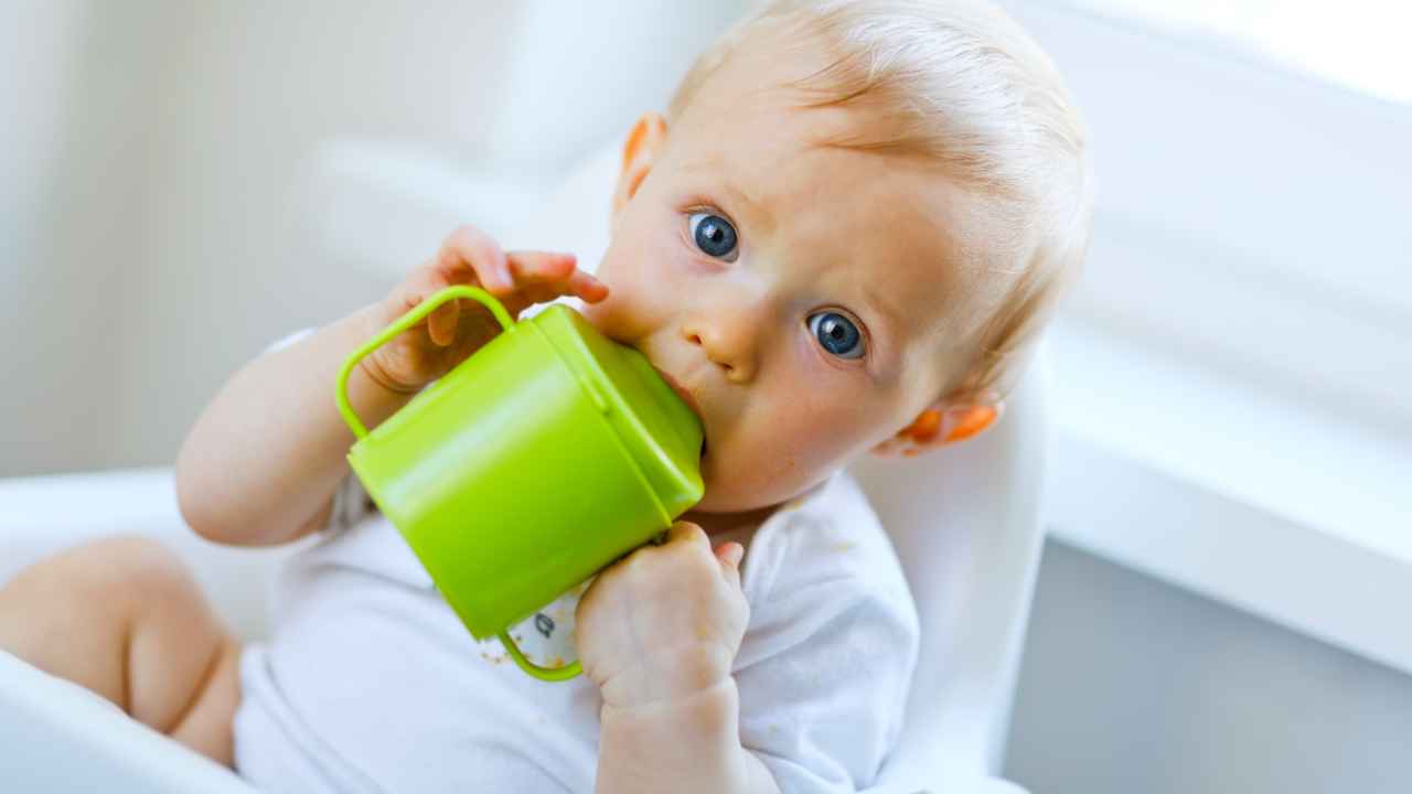 Фото: Alliance Images/Shutterstock.com