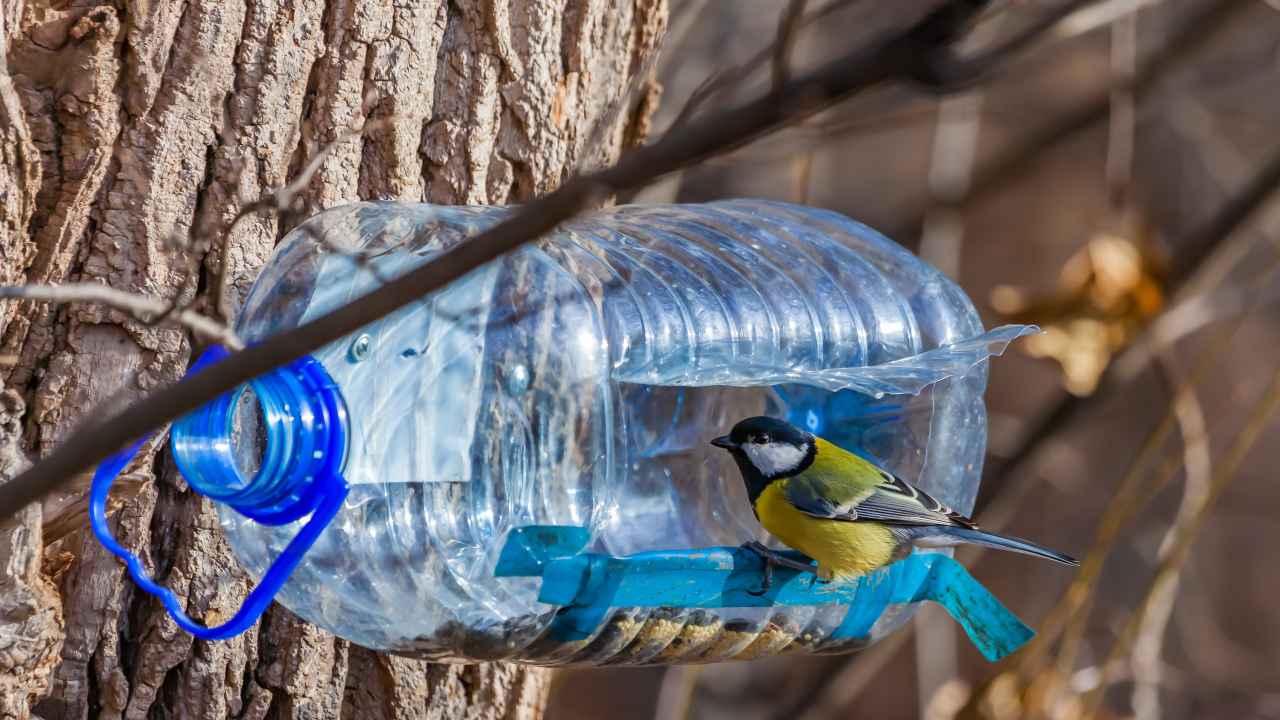 Как сделать кормушку для птиц своими руками подробные чертежи