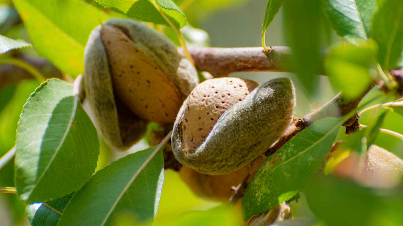Фото: barmalini/Shutterstock.com 