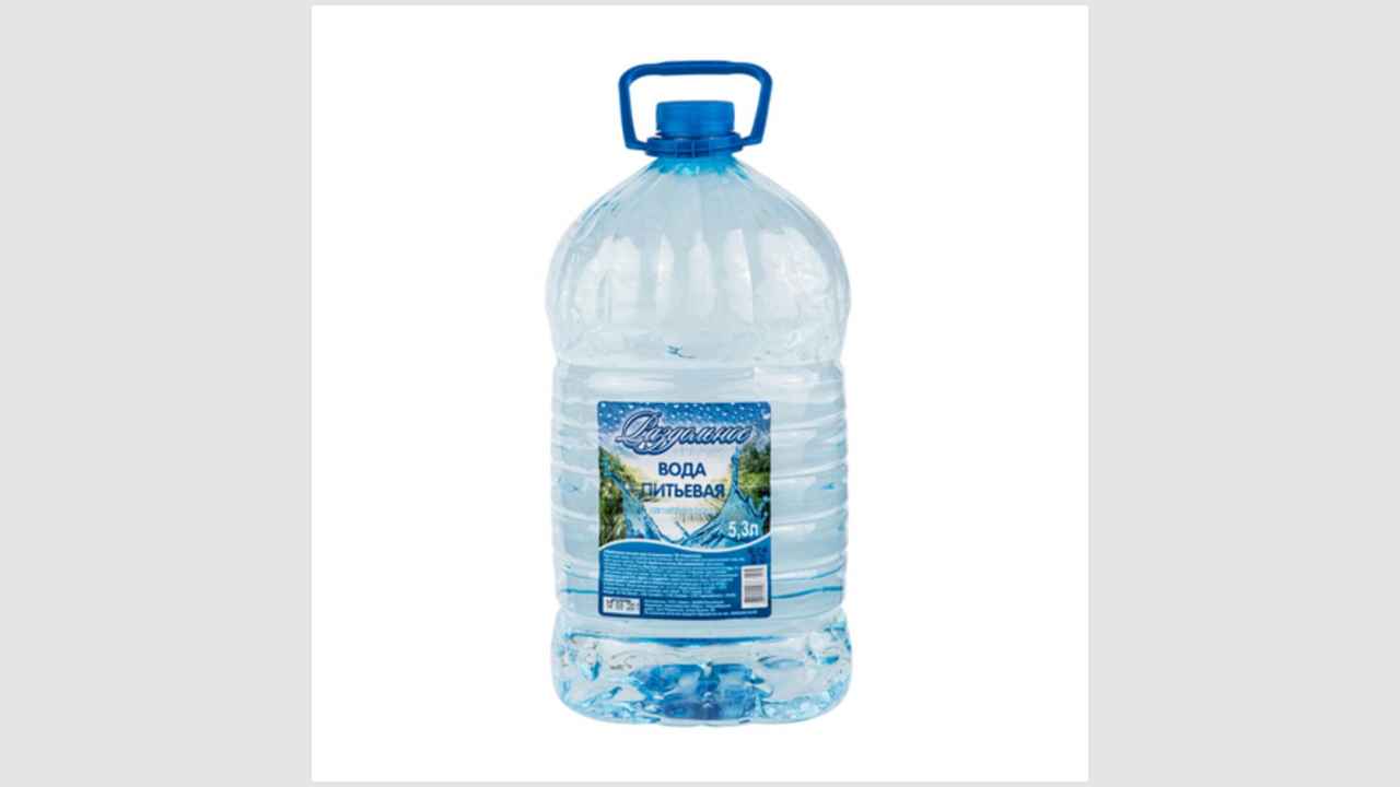 Обработанная питьевая вода, негазированная «Раздольное» 