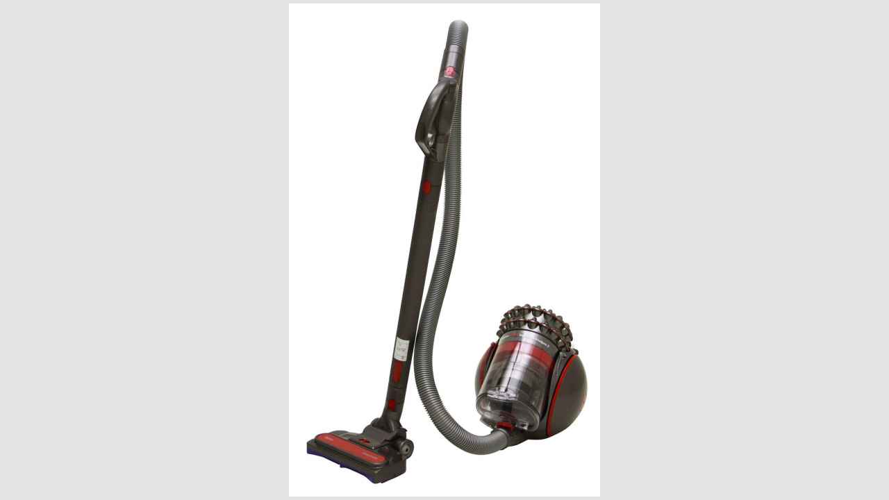 Dyson Cinetic Big Ball Animal Pro 2