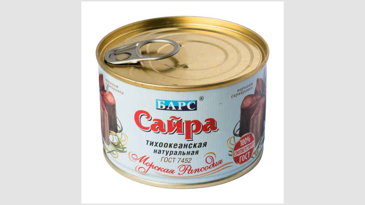 Барс