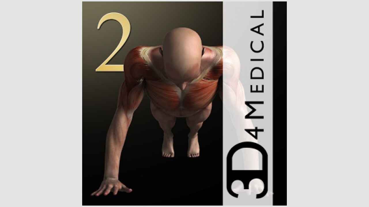 iMuscle 2