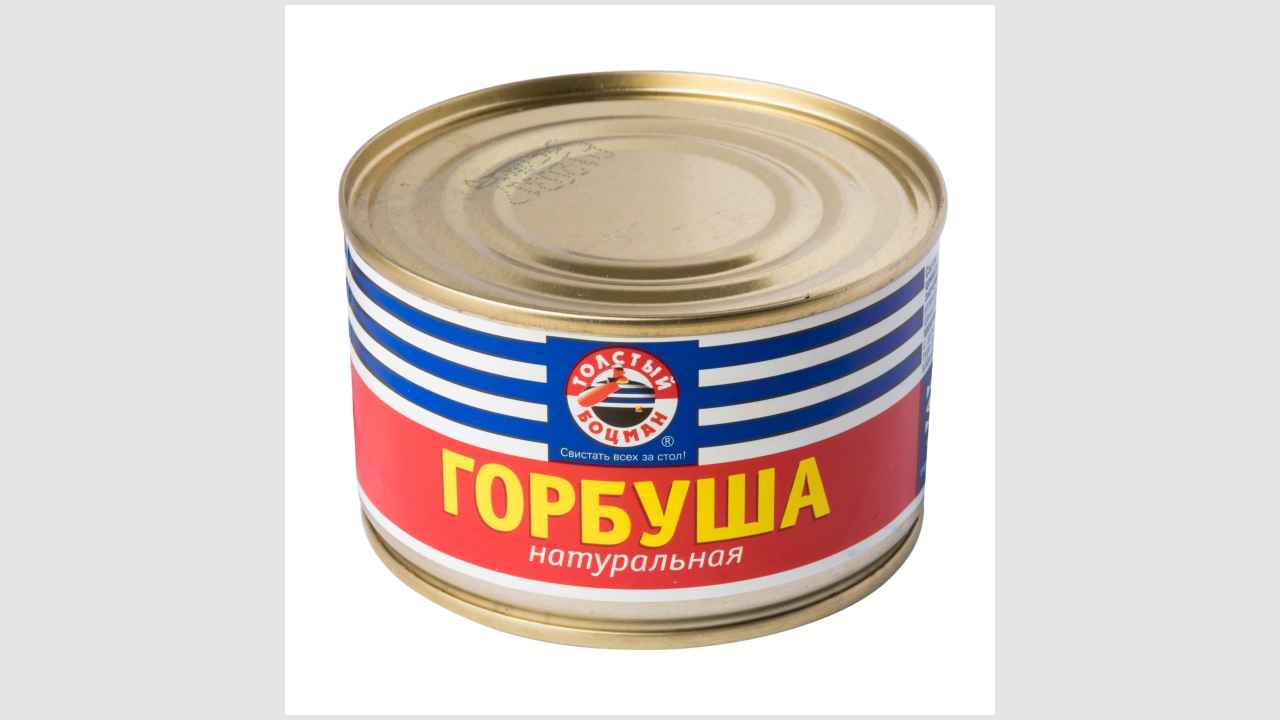 Толстый боцман