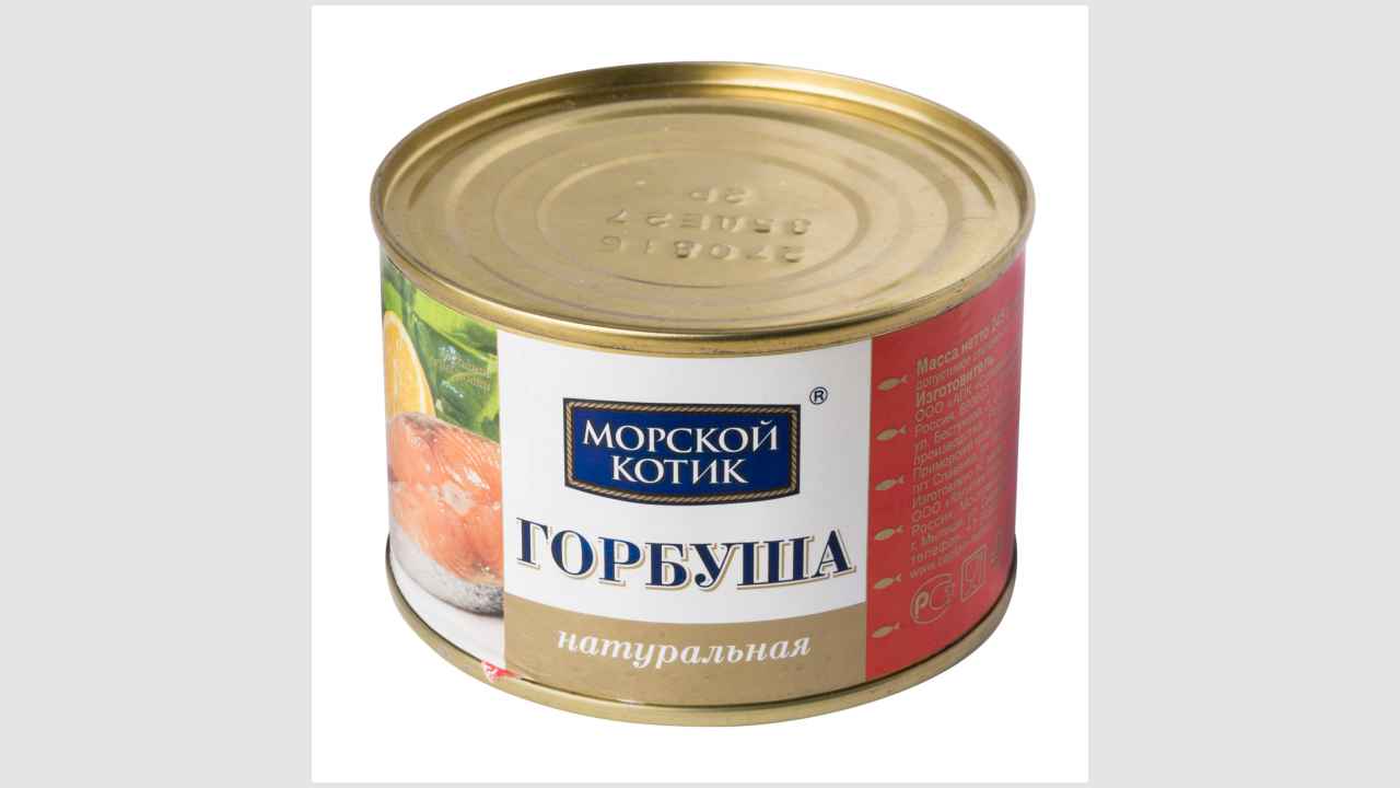 Морской котик