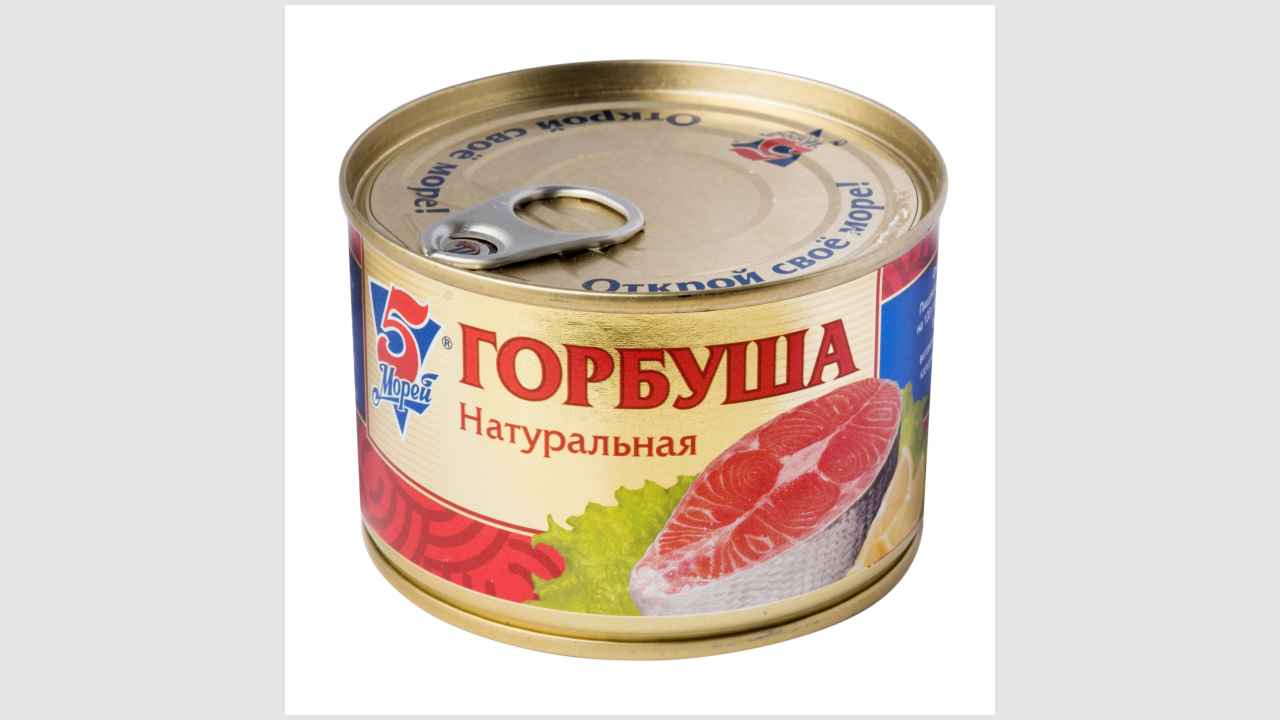 5 морей