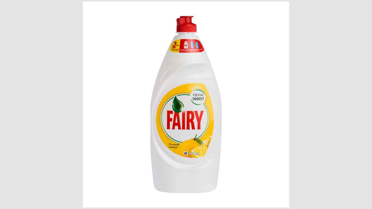 Fairy