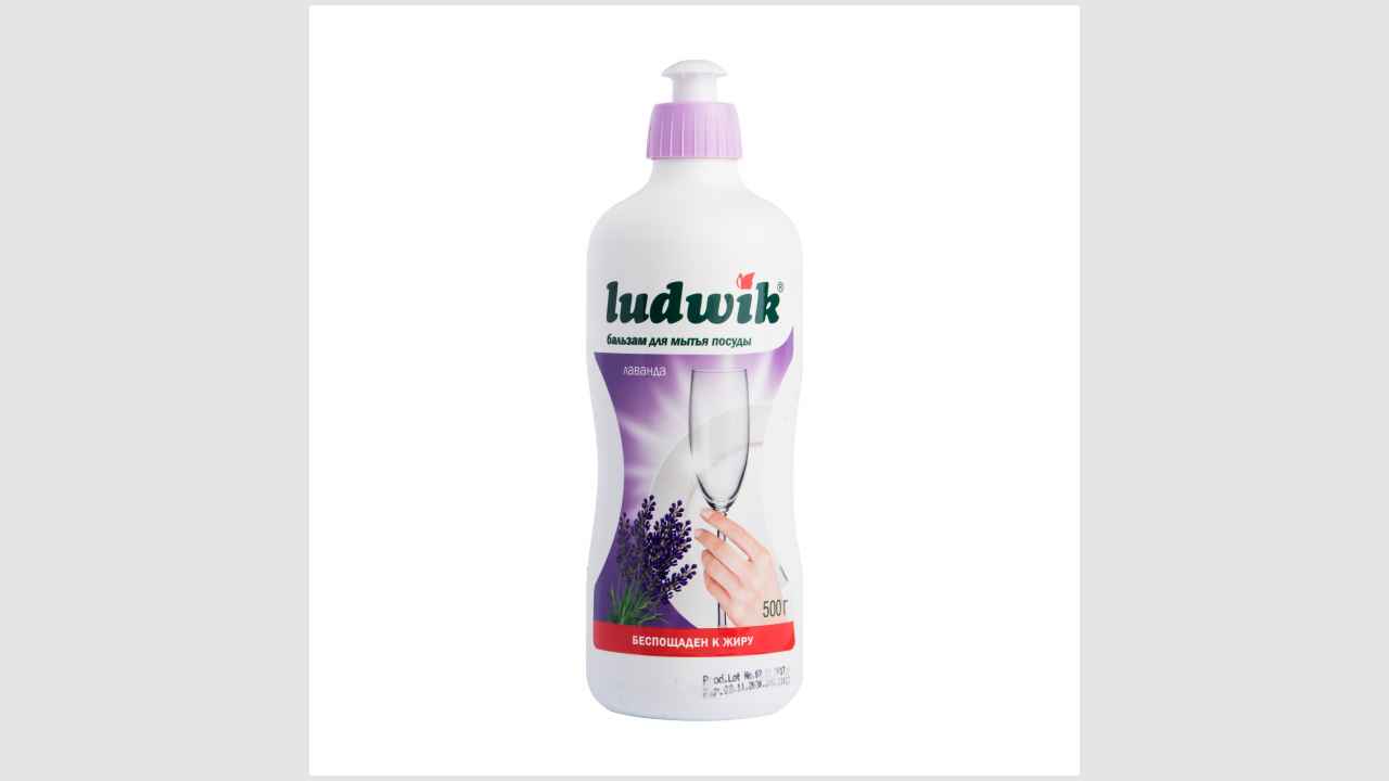 Ludwik