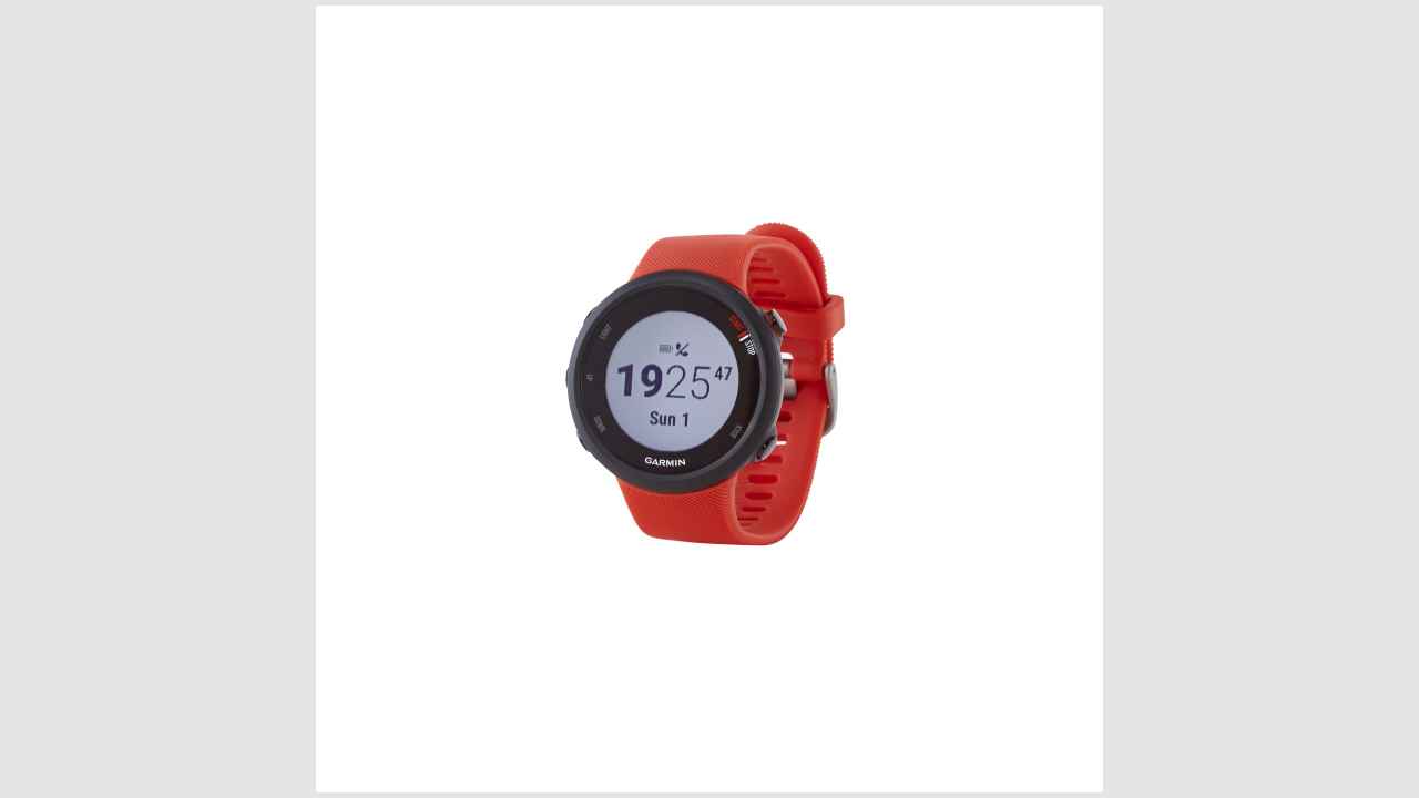 Garmin Forerunner 45