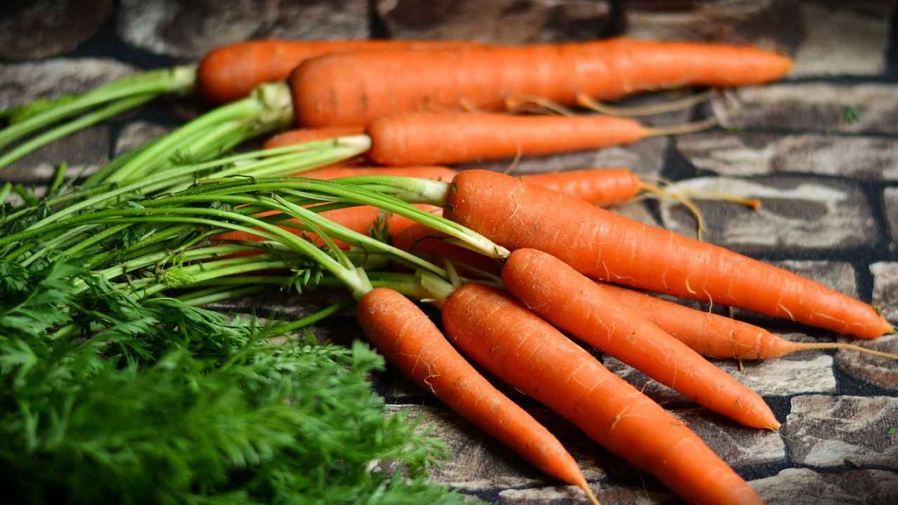Выбираем сорт моркови