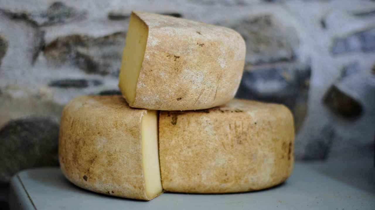 Тест: как хорошо вы разбираетесь в сырах?