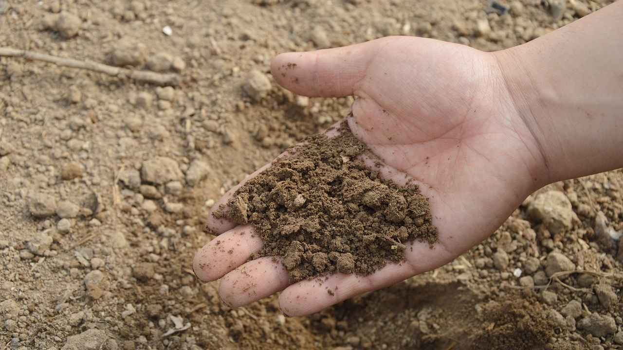 Готовим разные виды почв