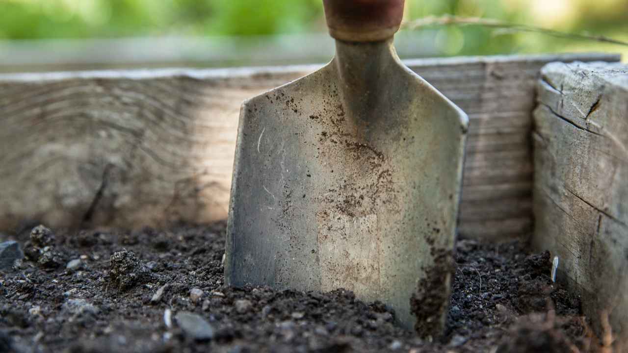 Всё о мульчировании