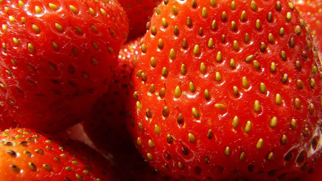 Лучшие сорта мелкоплодной садовой земляники