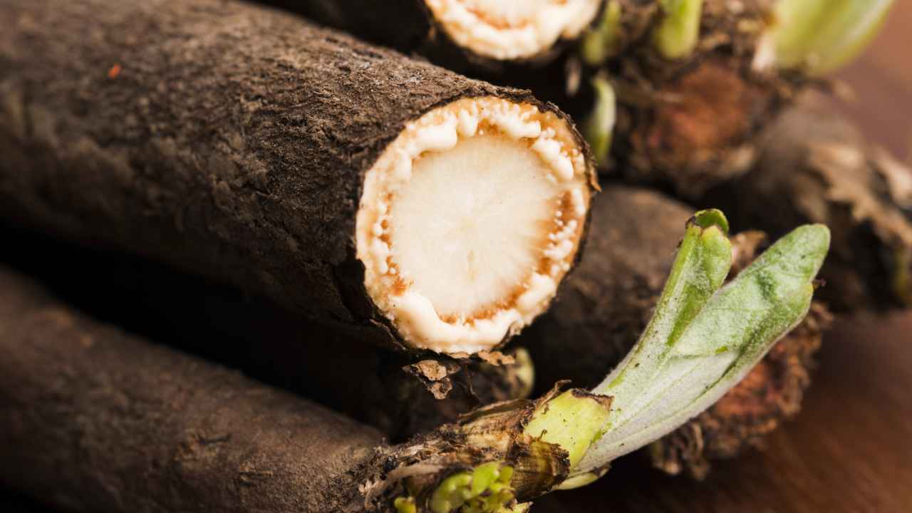 Знакомимся с козельцом