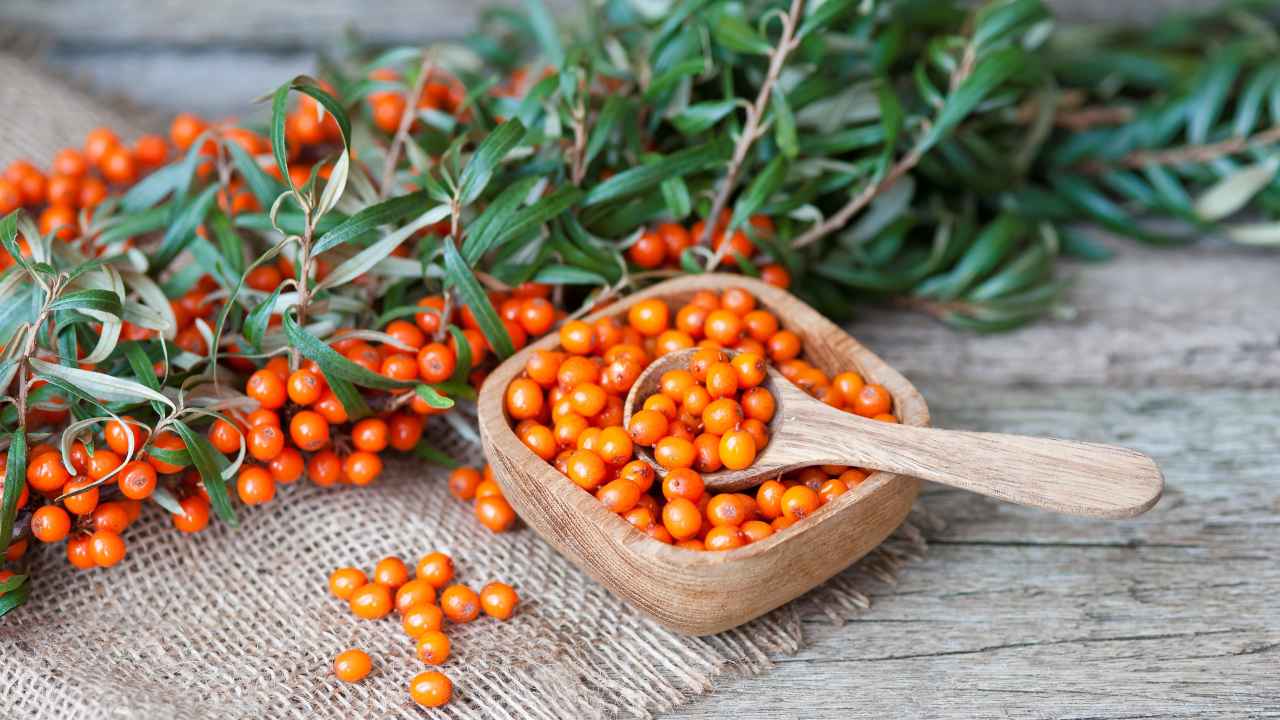 Фото: Inna Taran/Shutterstock.com