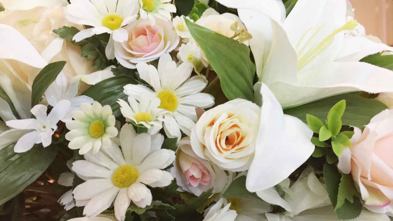 Тест: угадайте белые цветы