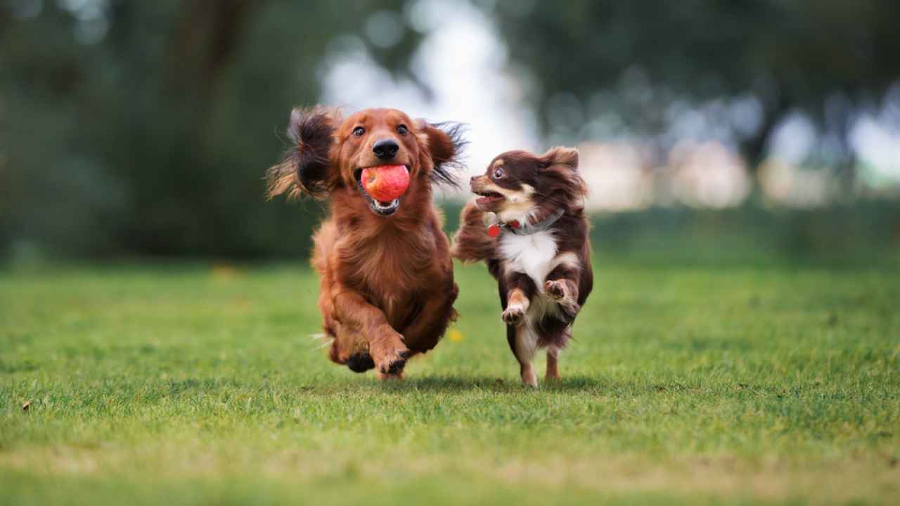 Фото: otsphoto/Shutterstock.com
