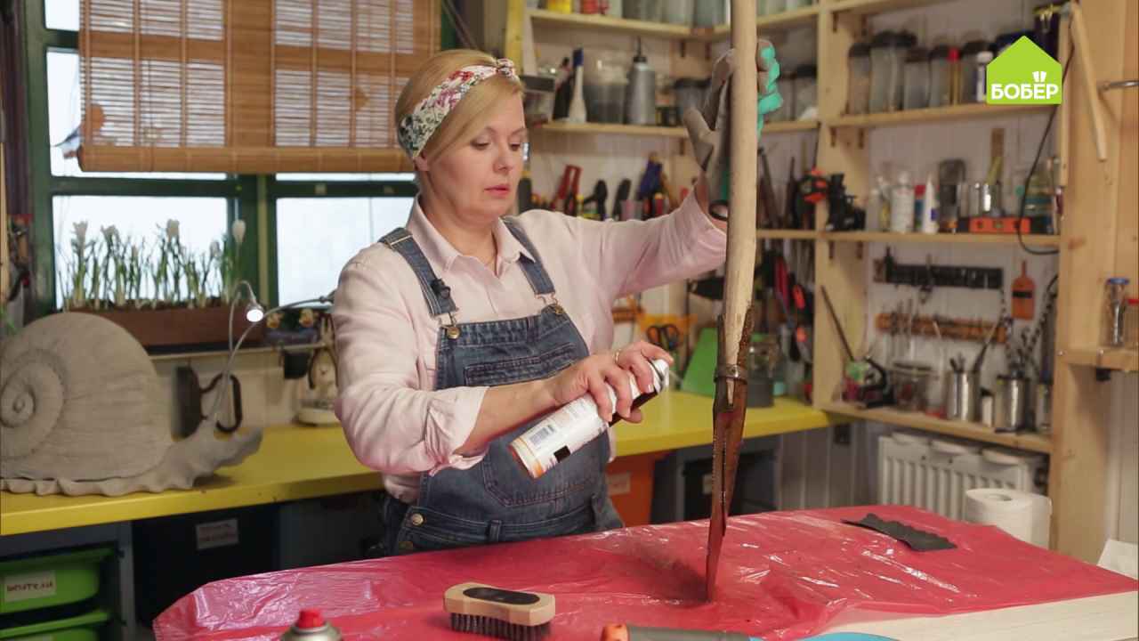 бобер передача сегодня