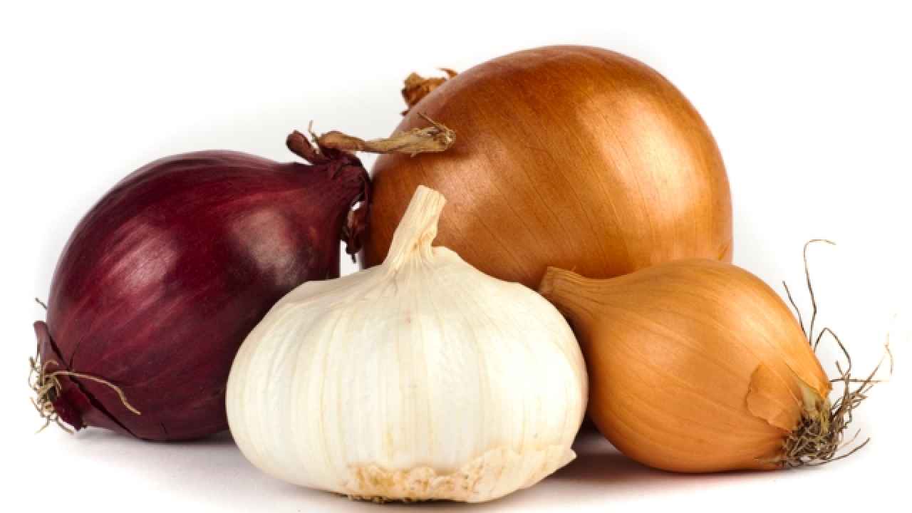 Лук